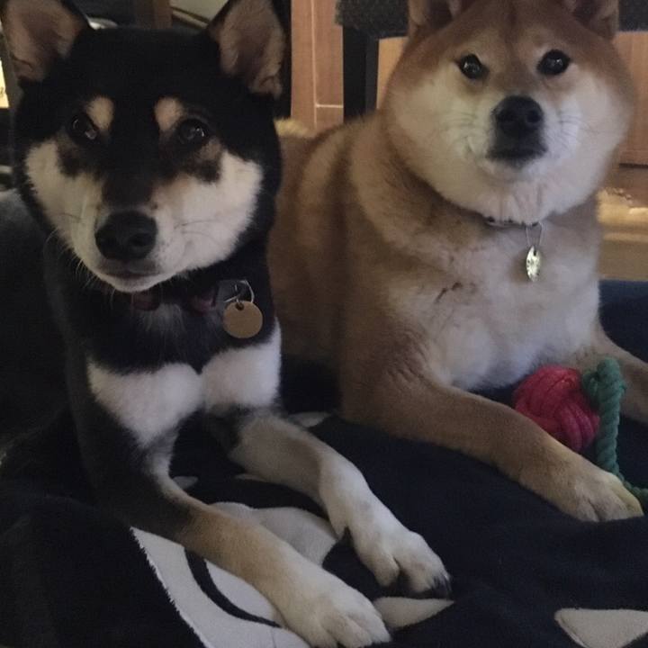 19fb0c44 8bad 4b67 9534 bb895442a6a4 1549893213303