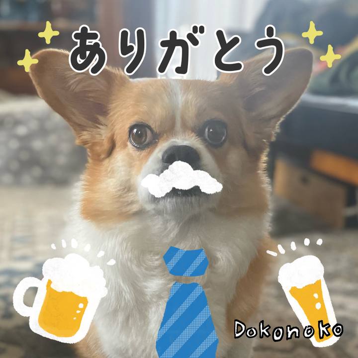 19fb170d 0275 4434 997d 3783f0d09867 1718549989009