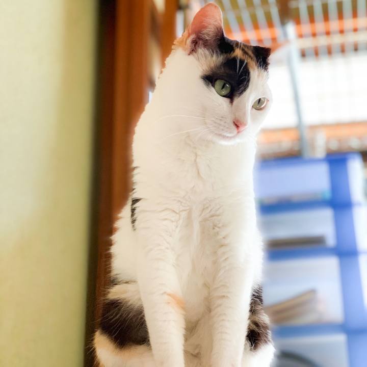 19fb4fe3 a6ba 496e 9d59 b4e5bc1cdebc 1567653038914