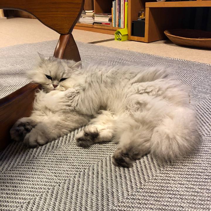 19fb6332 bdea 4f2e 97d5 4e37f9575b2e 1553000389023