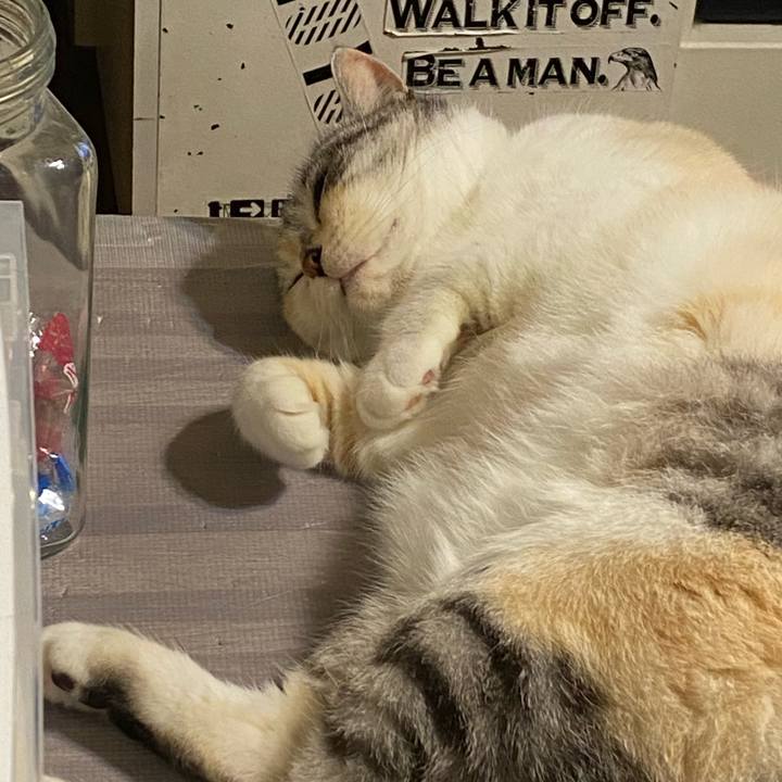 19fb6582 3a2d 4c39 8cf2 7fd4d482634c 1616332188460