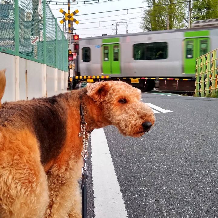 19fbd011 0ea2 42a3 913c 9511e63152bd 1586999391441