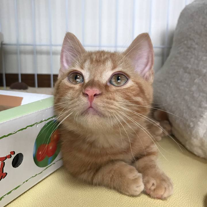 19fbd057 0107 4be9 a32f 6eb5876fad8d 1533547387880