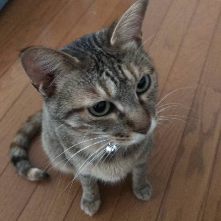 19fc2c8c 5276 4db7 8dae 065a86d95782 1588544967824