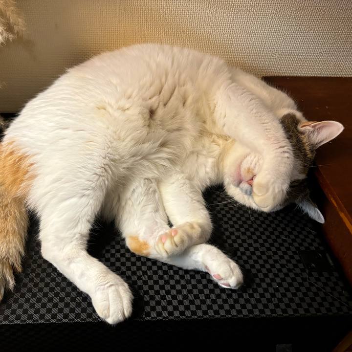 19fc6021 b8e8 4649 8087 913d5b9bb3bf 1756388379333