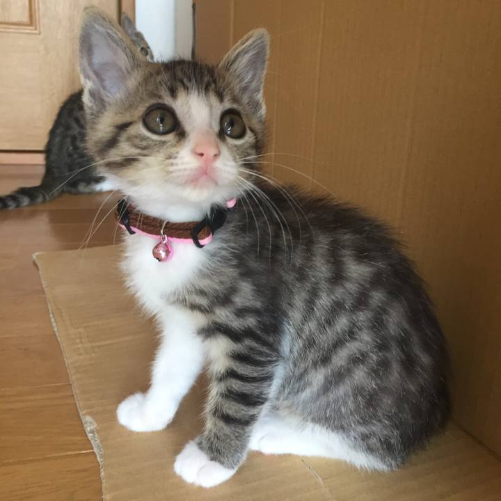 19fc986e ad11 4b38 91f8 e7936e087d77 1653104072688