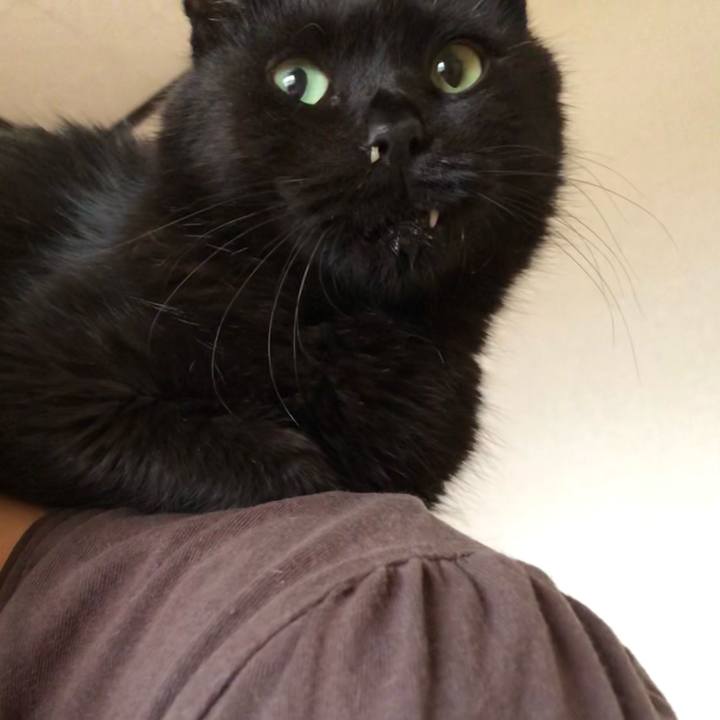 19fc992e 66c0 4005 8b63 05c2575c823e 1624441991069