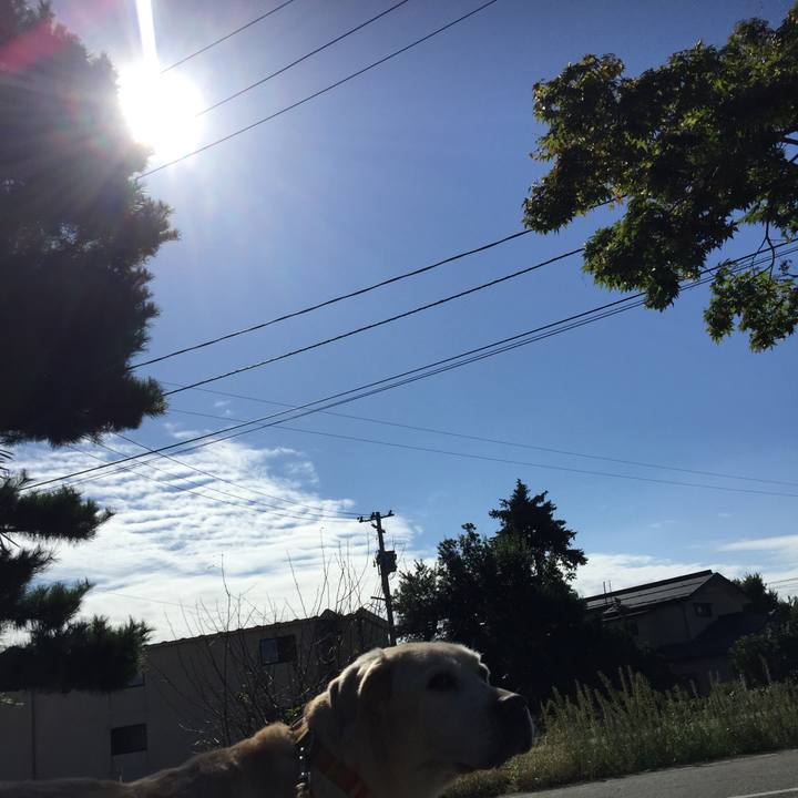 19fcaaba e2ec 4661 a929 37c0b5d570cb 1537929203477