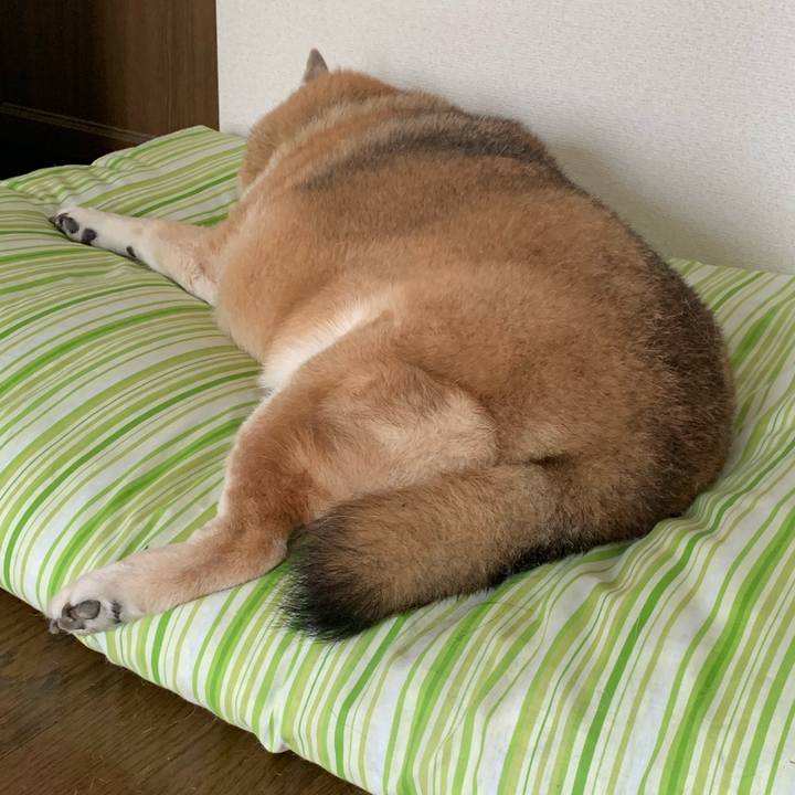 19fcd8a1 0213 480b 8a88 5157c325a975 1630853954683