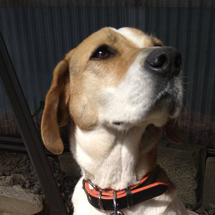 19fd1d2c 1bdd 483d adcb ecc6d8efddac 1619193055350