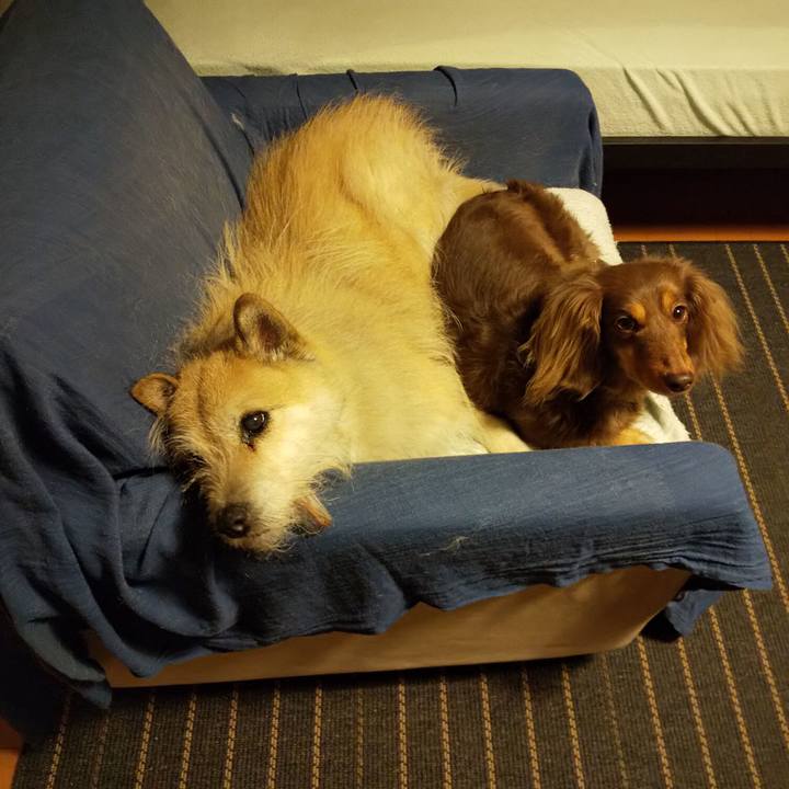 19fd2caf ecbf 4c20 8278 a0f1cfa6be3e 1550676883189