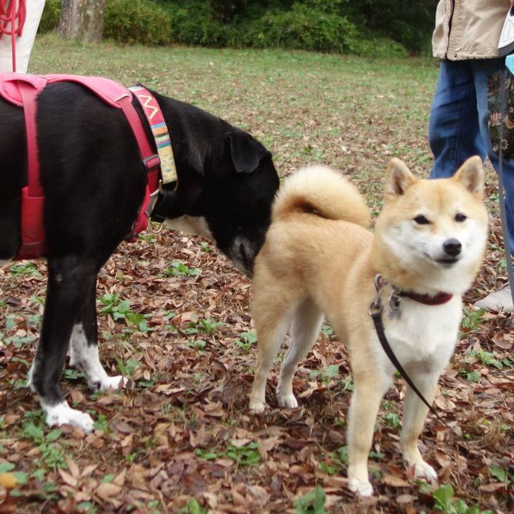 19fd5219 eb8a 48ce b5ba 5444a3ac37e9 1699663266144