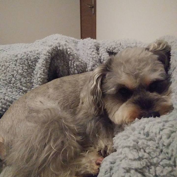 19fd5ec8 522b 4c7c b667 ae564a738eeb 1664976646713