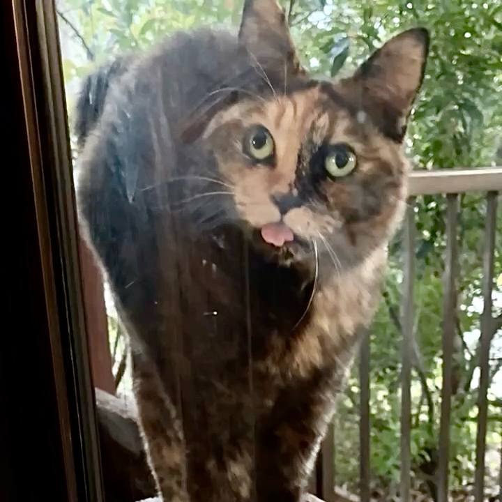 19fd9ed0 9b7d 46ad b81b 7133d2df09c3 1761733578229