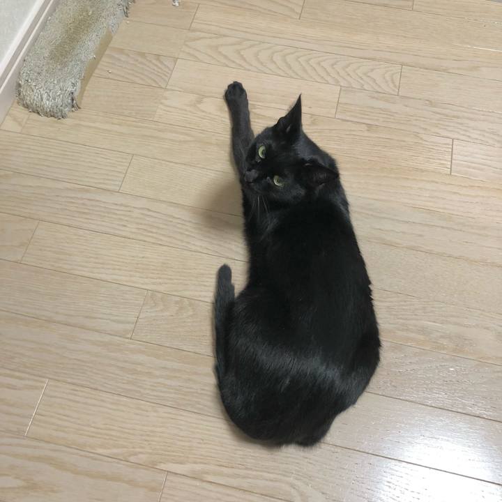 19fdc809 49d4 41ce 82f5 abef62e2ec85 1636117042392