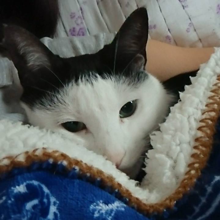 19fdcd16 19bb 49c4 909b 0841942f7faf 1536333241643