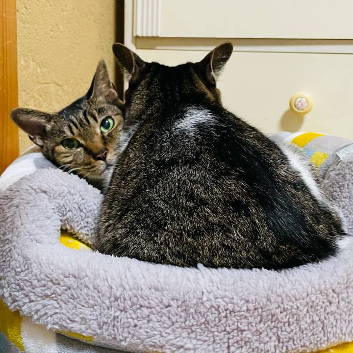 19fddaae 6381 474a baff 61d7716dab33 1611969699067