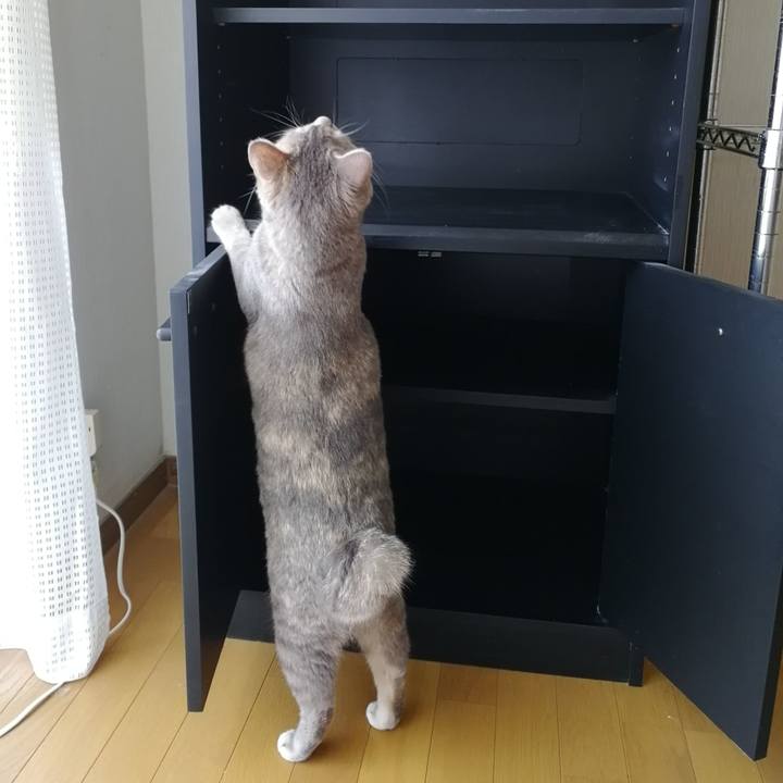 19fe2590 4e46 4706 a817 5966fc2d47be 1534133118226