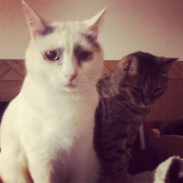 19fe44ad 372c 451e 8c39 9b115d380db2 1551579250957