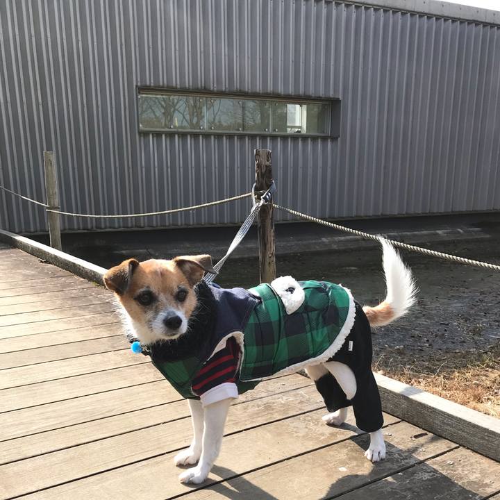 19fe803c ca06 4c41 8612 4b98cb07010a 1547373412517