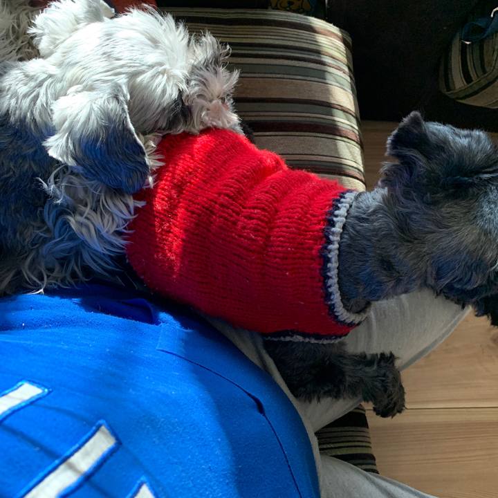 19fe82e5 dc3d 4e04 aacd 106dbb3230ca 1642728177237