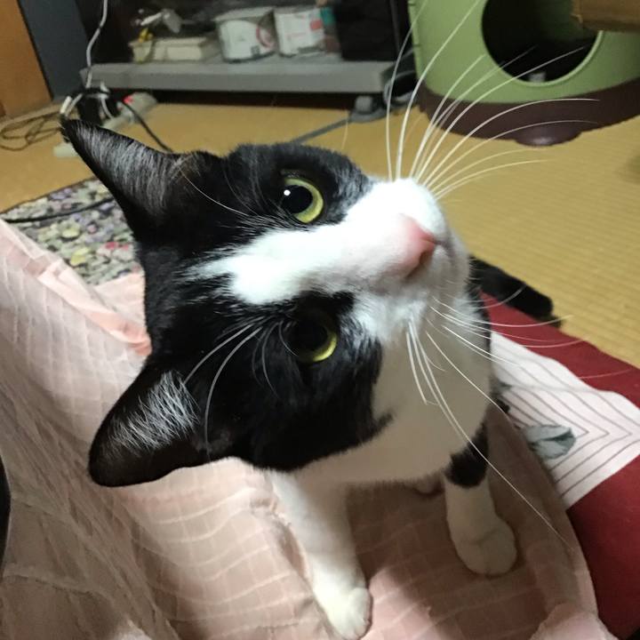 19fe83b9 0682 42d9 b521 0cdf8c6d7a4f 1681131281774