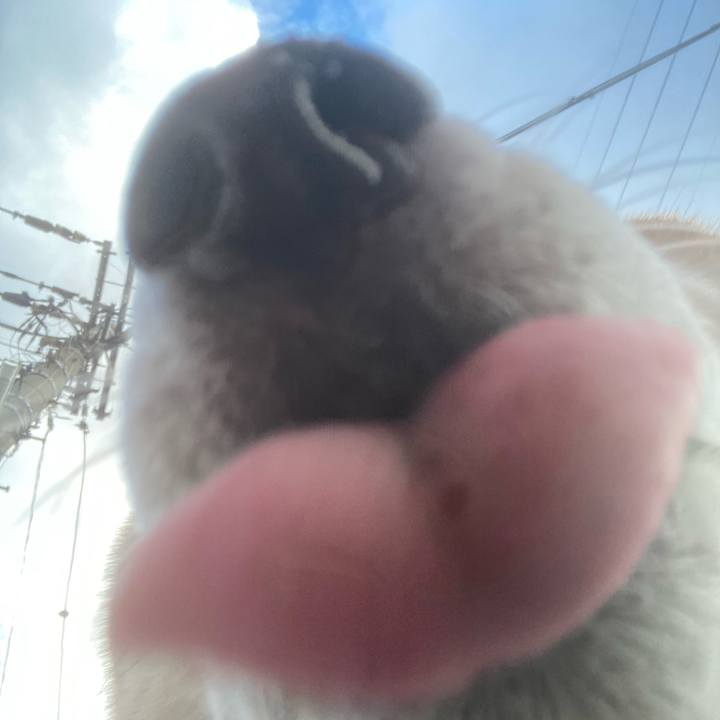 19fefa77 3b7f 43fa a7ab 1623740a9545 1697839619757