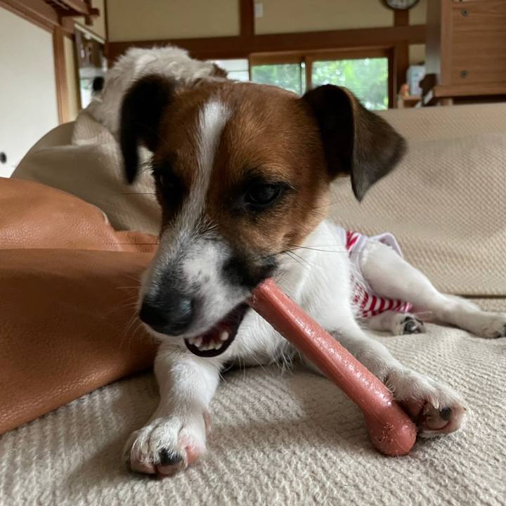 19ff5e2a 57bd 47a3 b900 846efe37694b 1631085561332