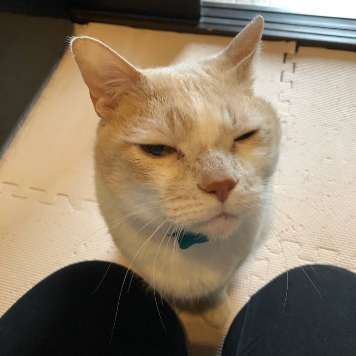 19ff64cd 6ba9 4fd6 aaa0 b5f371f01b60 1618526744544