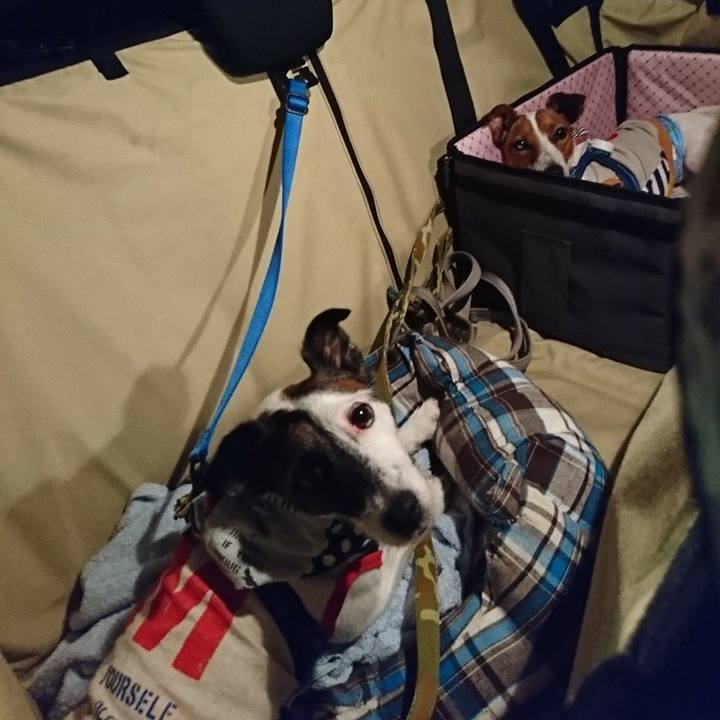 19ff9ae8 ec09 4b46 9ed4 12ecfa78d3c5 1534935664670