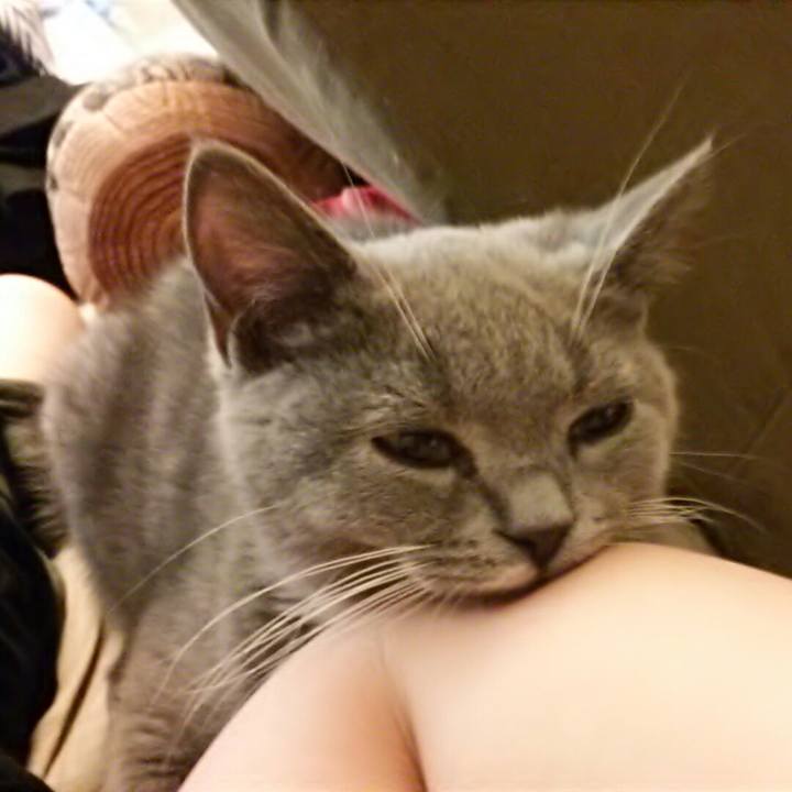 19ffe0a0 6aba 487d a2ac 6ea0fcffbe44 1533454353938