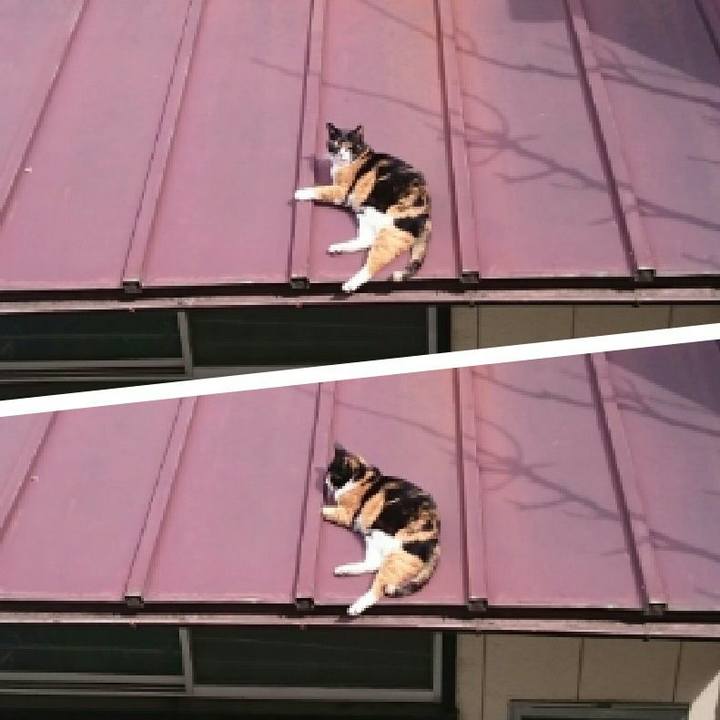 1a002fae 32dc 4657 be8b 1efafddaf957 1521345612058