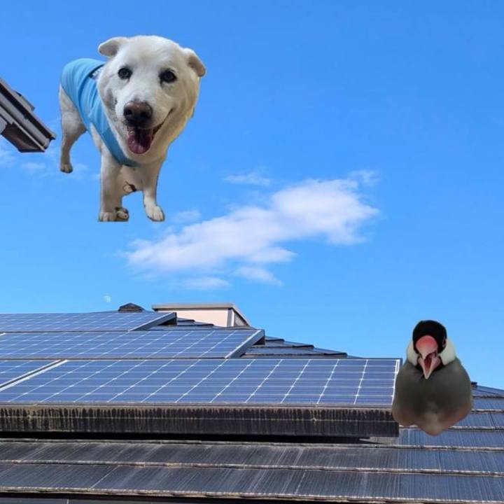 1a004994 7315 43f5 8339 434e8f4c9535 1770351996658