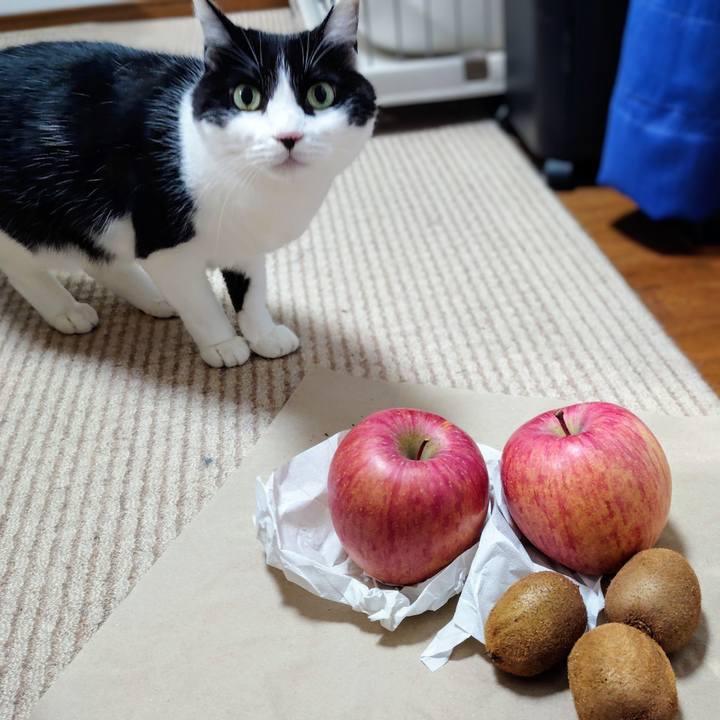 1a004f02 2d21 47c6 9024 4016c2baba52 1765375370976