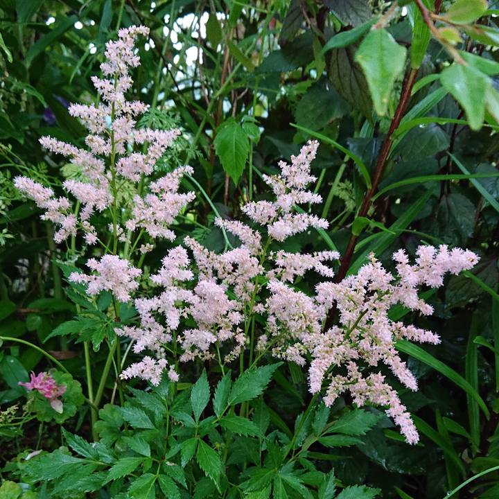 1a006f1f e4bc 4ce1 8608 bf69270d0e5b 1622467746477