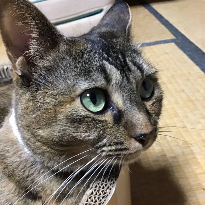 1a008e0f 1989 4d40 b277 d45f41f35b0c 1726477217094