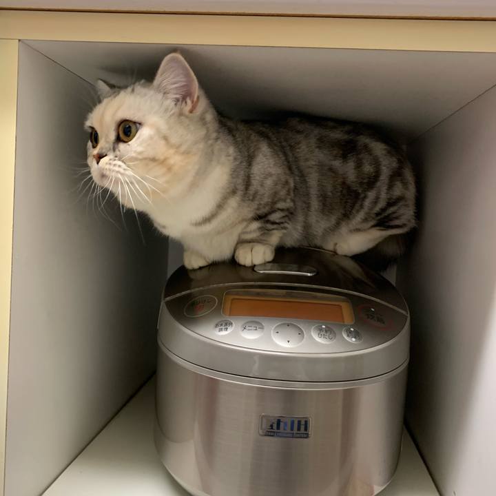 1a00cbdc 3188 4fa7 a0cc bda0a0bb38aa 1705398743347