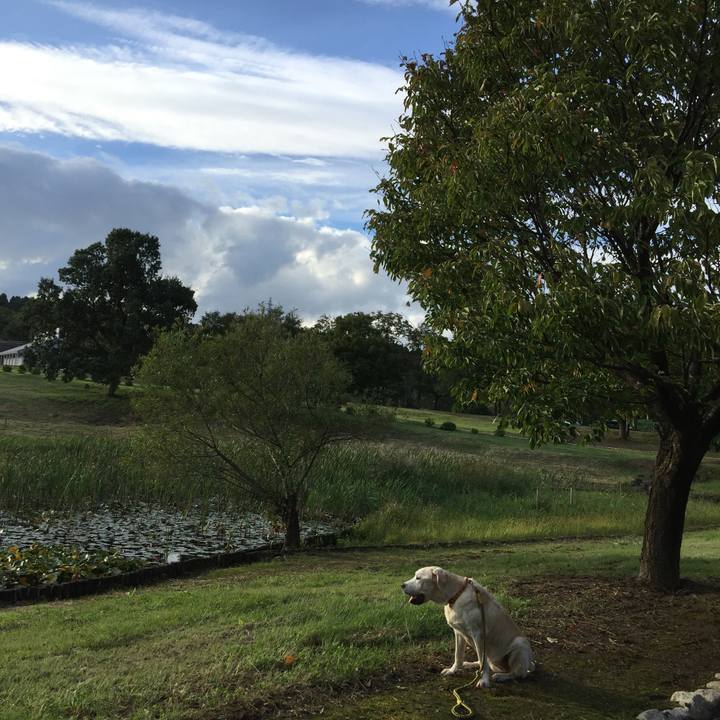 1a00e7c0 7616 43c9 b334 f7243978a3e7 1569371746831