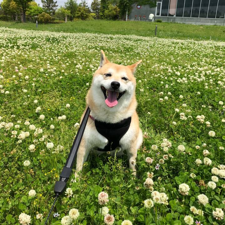 1a015112 ac08 406d 87b5 4d1b9c46e678 1557292369544