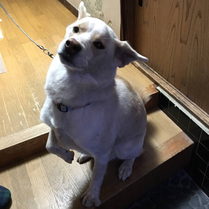 1a016374 f242 4d39 8857 3ffed3b7b506 1515140650788