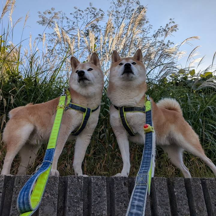 1a016840 d2e6 4f75 930e ba4c4835949a 1763175586042