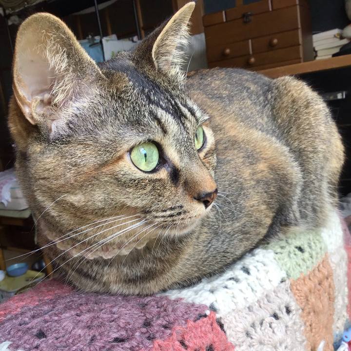 1a017882 3133 4ab4 8d29 88b2783a5d41 1655598775297