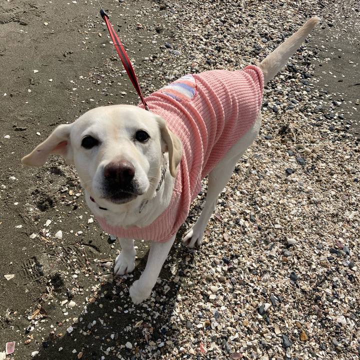 1a018231 c4a1 46da b7f1 c8e458b93af4 1703401134641