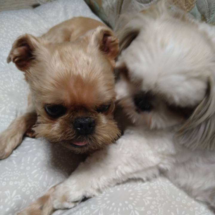 1a0188ac 0896 4a0f 8365 aa7dce09d9e3 1630885832361