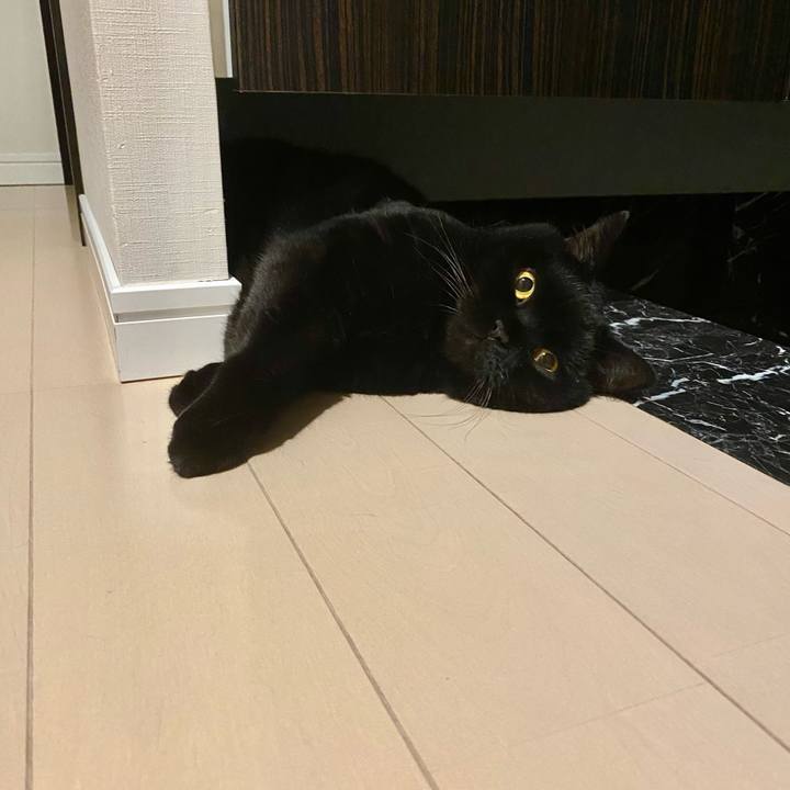 1a019b54 7dec 459e 84da ae3a046193a7 1694180611691