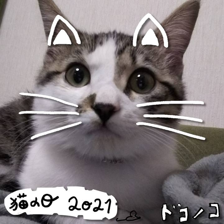 1a019eec d91c 4937 a4b2 4ec7afef44f0 1613996106063