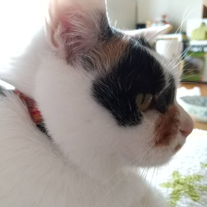 1a01a395 b95f 40f3 bef3 af83449e74c4 1619515477427