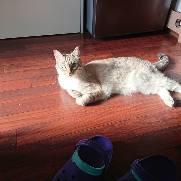 1a01af52 275d 4fe5 89ed 9daddb00ffde 1557732552168