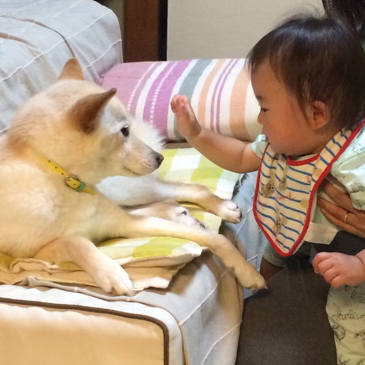 1a01b8c0 e41a 44d5 a13c 6ad7cf1c1882 1528721202054