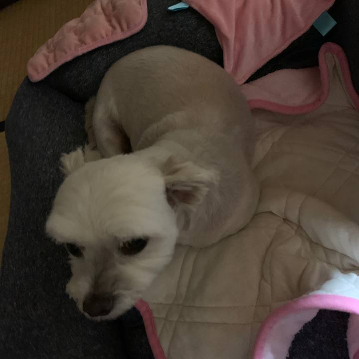 1a01b8db b16f 465c a5d6 6c88f94a8b7c 1627988811567